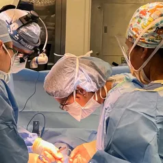 Section of Endocrine Surgery